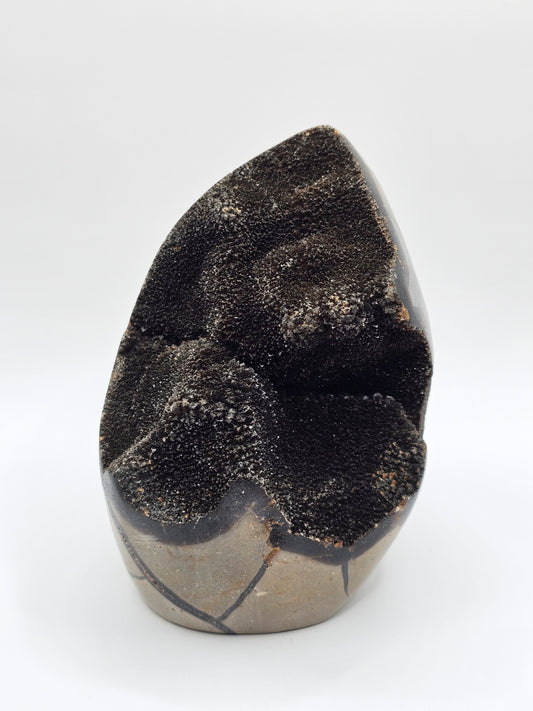 Septaria (uniek A)